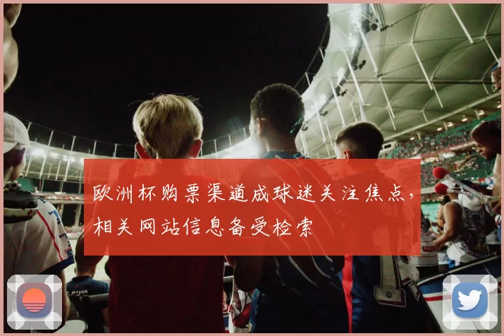 欧洲杯购票渠道成球迷关注焦点,相关网站信息备受检索