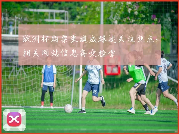 欧洲杯购票渠道成球迷关注焦点，相关网站信息备受检索