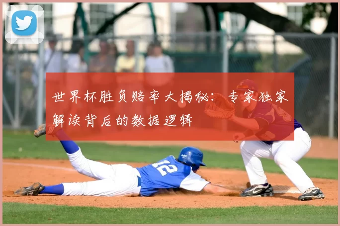 世界杯胜负赔率大揭秘:专家独家解读背后的数据逻辑
