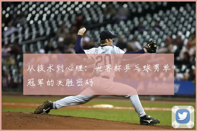 从技术到心理：世界杯乒乓球男单冠军的决胜密码