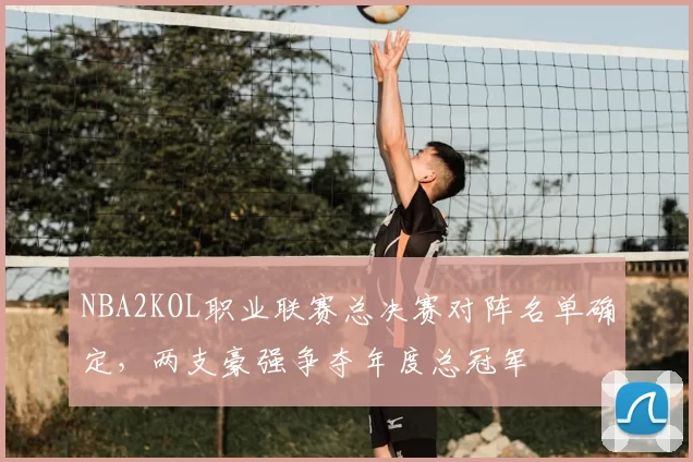 NBA2KOL职业联赛总决赛对阵名单确定,两支豪强争夺年度总冠军