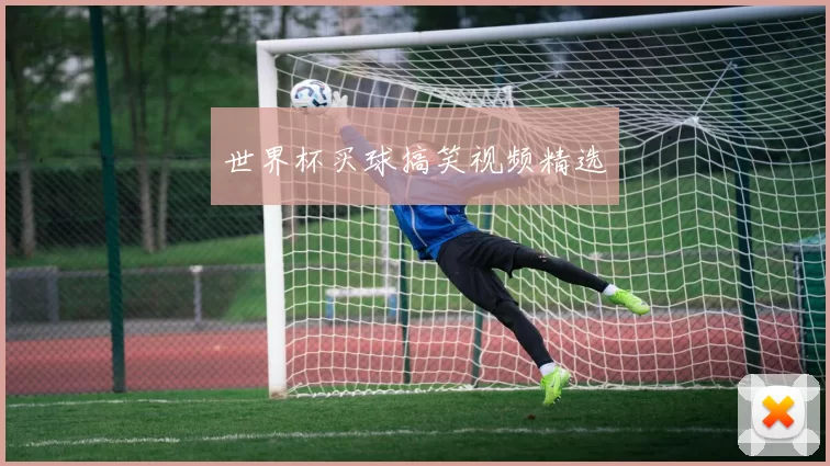 世界杯买球搞笑视频精选